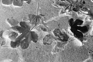SC_AFRLSER_SER-s5010-0000016_IMG-0000000029