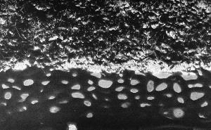SC_AFRLSER_SER-s5010-0000037_IMG-0000000108