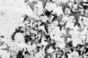 SC_AFRLSER_SER-s5010-0000097_IMG-0000000285