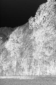 SC_AFRLSER_SER-s5010-0000120_IMG-0000000307