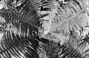 SC_AFRLSER_SER-s5010-0000122_IMG-0000000309