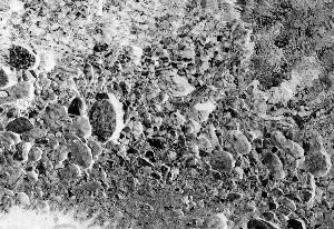 SC_AFRLSER_SER-s5010-0000155_IMG-0000000380