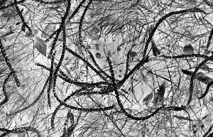 SC_AFRLSER_SER-s5010-0000160_IMG-0000000391