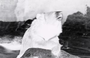 SC_AFRLSER_SER-s5010-0000212_IMG-0000000509