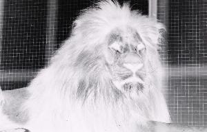 SC_AFRLSER_SER-s5010-0000213_IMG-0000000511