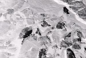 SC_AFRLSER_SER-s5010-0000233_IMG-0000000632