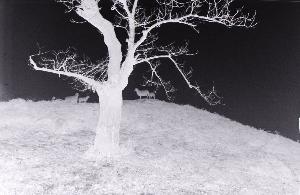 SC_AFRLSER_SER-s5010-0000239_IMG-0000000640