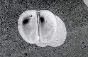 SC_AFRLSER_SER-s5010-0000240_IMG-0000000641