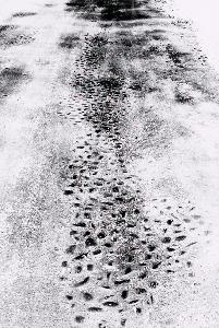 SC_AFRLSER_SER-s5010-0000282_IMG-0000000740