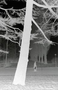 SC_AFRLSER_SER-s5010-0000283_IMG-0000000743