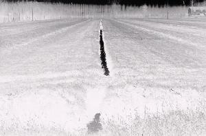 SC_AFRLSER_SER-s5010-0000338_IMG-0000001009