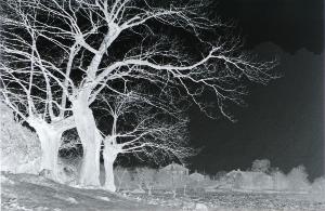 SC_AFRLSER_SER-s5010-0000345_IMG-0000001016
