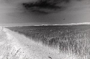 SC_AFRLSER_SER-s5010-0000376_IMG-0000001138