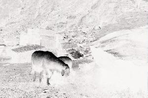 SC_AFRLSER_SER-s5010-0000475_IMG-0000001286