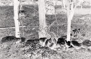 SC_AFRLSER_SER-s5010-0000481_IMG-0000001292