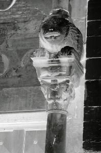 SC_AFRLSER_SER-s5010-0000523_IMG-0000001368