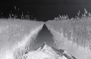 SC_AFRLSER_SER-s5010-0000536_IMG-0000001397