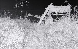 SC_AFRLSER_SER-s5010-0000538_IMG-0000001399
