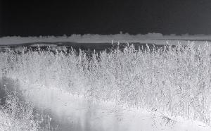 SC_AFRLSER_SER-s5010-0000539_IMG-0000001400