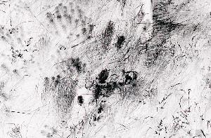 SC_AFRLSER_SER-s5010-0000726_IMG-0000001723