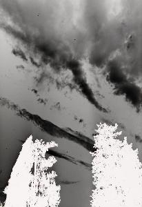 SC_AFRLSER_SER-s5010-0000774_IMG-0000001771