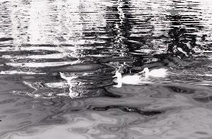 SC_AFRLSER_SER-s5010-0000820_IMG-0000001820
