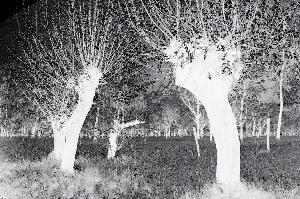 SC_AFRLSER_SER-s5010-0000900_IMG-0000001903