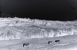 SC_AFRLSER_SER-s5010-0000945_IMG-0000002061