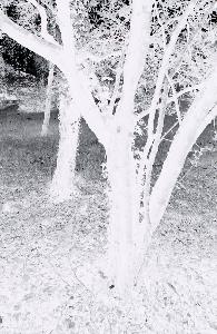 SC_AFRLSER_SER-s5010-0001276_IMG-0000002977