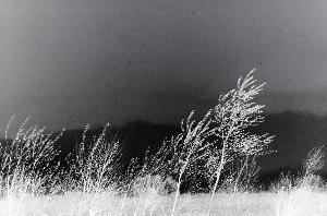 SC_AFRLSER_SER-s5010-0001367_IMG-0000003226