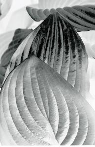 SC_AFRLSER_SER-s5010-0001451_IMG-0000003451