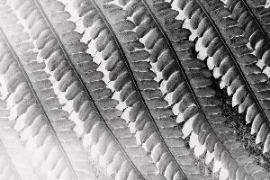 SC_AFRLSER_SER-s5010-0001452_IMG-0000003452