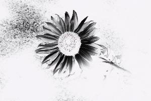 SC_AFRLSER_SER-s5010-0001580_IMG-0000003785