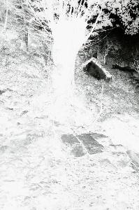 SC_AFRLSER_SER-s5010-0001582_IMG-0000003790