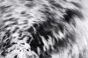 SC_AFRLSER_SER-s5010-0001589_IMG-0000003805