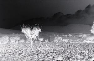 SC_AFRLSER_SER-s5010-0001836_IMG-0000004185