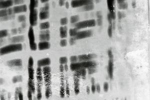SC_AFRLSER_SER-s5010-0001865_IMG-0000004213