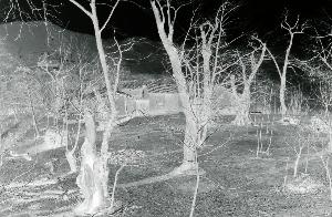 SC_AFRLSER_SER-s5010-0002137_IMG-0000004766