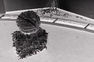 SC_AFRLSER_SER-s5010-0002152_IMG-0000004788