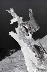 SC_AFRLSER_SER-s5010-0002158_IMG-0000004794