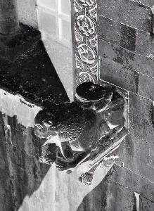 SC_AFRLSER_SER-s5010-0002318_IMG-0000005132