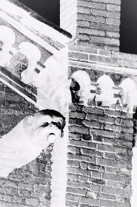 SC_AFRLSER_SER-s5010-0002380_IMG-0000005343