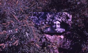 SC_AFRLSER_SER-s5010-0002592_IMG-0000005648