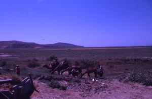 SC_AFRLSER_SER-s5010-0002622_IMG-0000005684