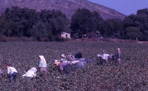 SC_AFRLSER_SER-s5010-0002624_IMG-0000005686
