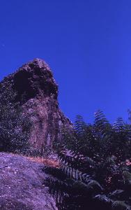 SC_AFRLSER_SER-s5010-0002625_IMG-0000005688