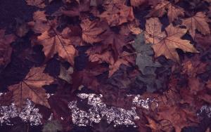 SC_AFRLSER_SER-s5010-0002717_IMG-0000005868