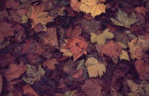 SC_AFRLSER_SER-s5010-0002718_IMG-0000005869