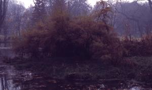 SC_AFRLSER_SER-s5010-0002719_IMG-0000005871