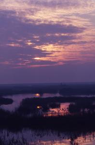 SC_AFRLSER_SER-s5010-0002891_IMG-0000006200